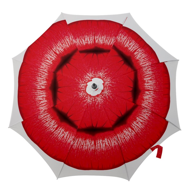 Oooooh Lips Hook Handle Umbrellas (Small)