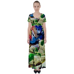 Catalina Island Not So Far 4 High Waist Short Sleeve Maxi Dress by bestdesignintheworld