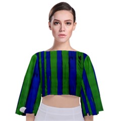 Stripes Tie Back Butterfly Sleeve Chiffon Top