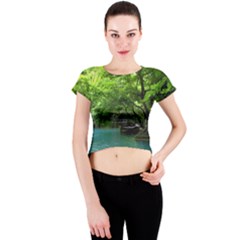 Backgrounds List Of Lake Background Beautiful Waterfalls Nature Crew Neck Crop Top