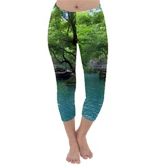 Backgrounds List Of Lake Background Beautiful Waterfalls Nature Capri Winter Leggings 