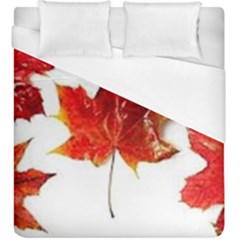 Innovative Duvet Cover (king Size) by GlobidaDesigns