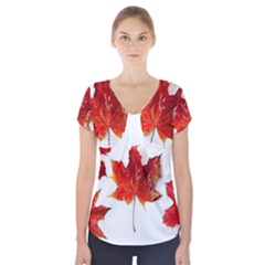 Innovative Short Sleeve Front Detail Top by GlobidaDesigns