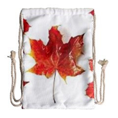 Innovative Drawstring Bag (large)