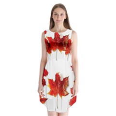 Innovative Sleeveless Chiffon Dress  