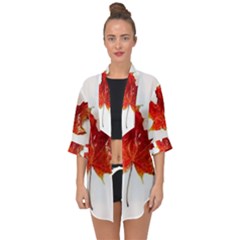 Innovative Open Front Chiffon Kimono by GlobidaDesigns