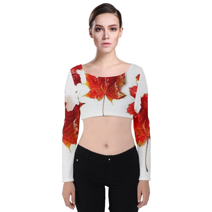 Innovative Velvet Crop Top