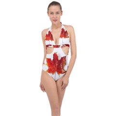 Innovative Halter Front Plunge Swimsuit by GlobidaDesigns