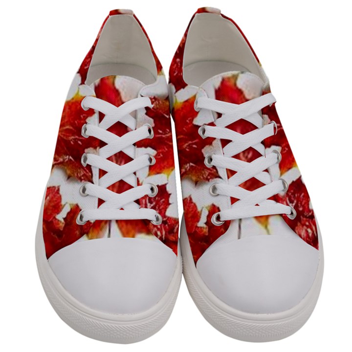 Innovative Women s Low Top Canvas Sneakers