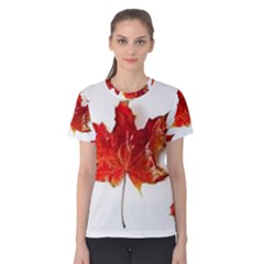 Innovative Women s Cotton Tee