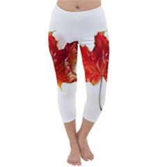 Innovative Capri Winter Leggings 