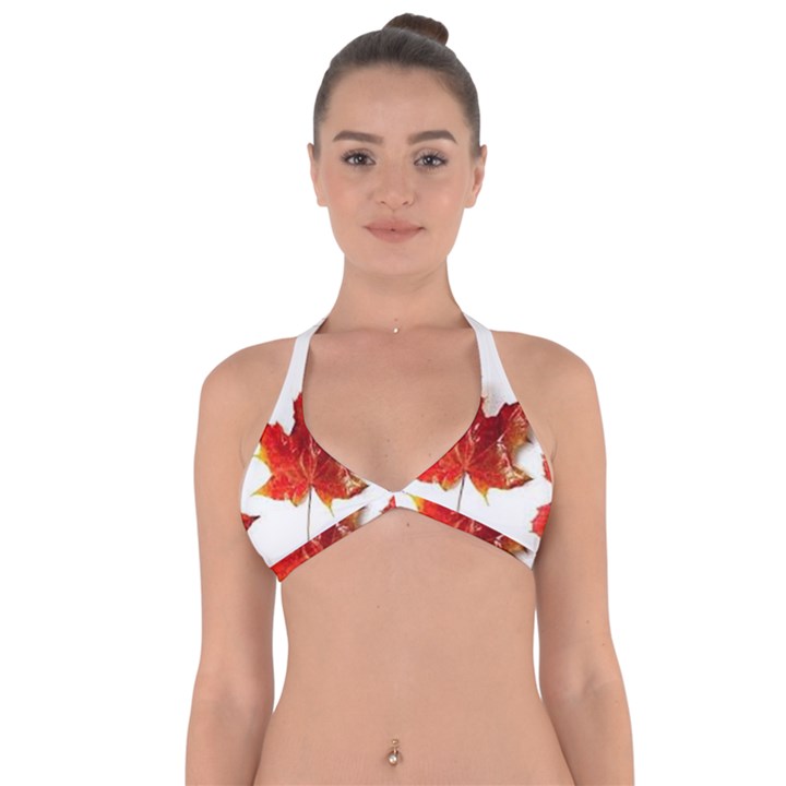 Innovative Halter Neck Bikini Top