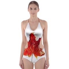 Innovative Cut-out One Piece Swimsuit by GlobidaDesigns