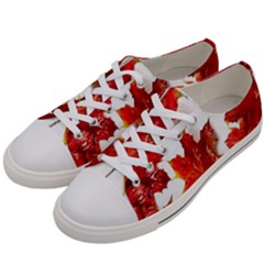 Innovative Women s Low Top Canvas Sneakers by GlobidaDesigns