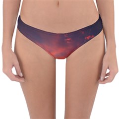 Skyline Panoramic City Architecture Reversible Hipster Bikini Bottoms by Simbadda