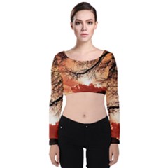 Tree Skyline Silhouette Sunset Velvet Crop Top