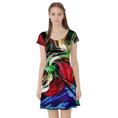 Lillies In Terracota Vase Short Sleeve Skater Dress by bestdesignintheworld