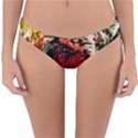 Alaska Industrial Landscape 4 Reversible Hipster Bikini Bottoms View3