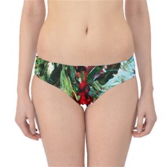 Eden Garden 10 Hipster Bikini Bottoms by bestdesignintheworld