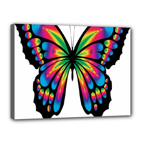 Abstract Animal Art Butterfly Canvas 16  X 12  by Simbadda