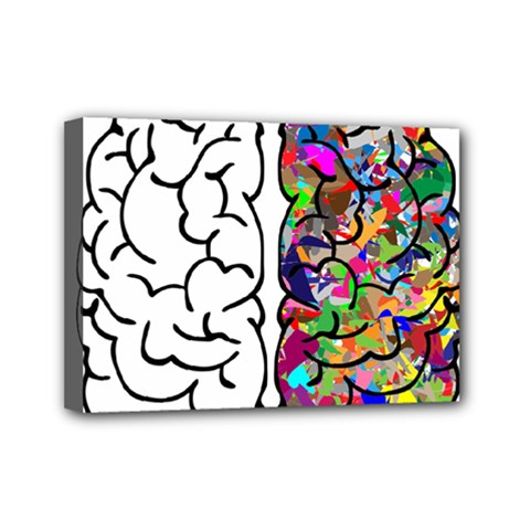 Brain Mind Anatomy Mini Canvas 7  X 5  by Simbadda