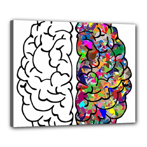 Brain Mind Anatomy Canvas 20  X 16  by Simbadda