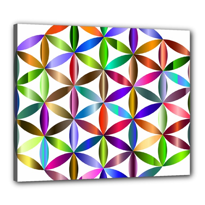 Flower Of Life Sacred Geometry Canvas 24  x 20 