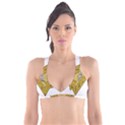 Cheese Rat Mouse Mice Food Cheesy Plunge Bikini Top View1