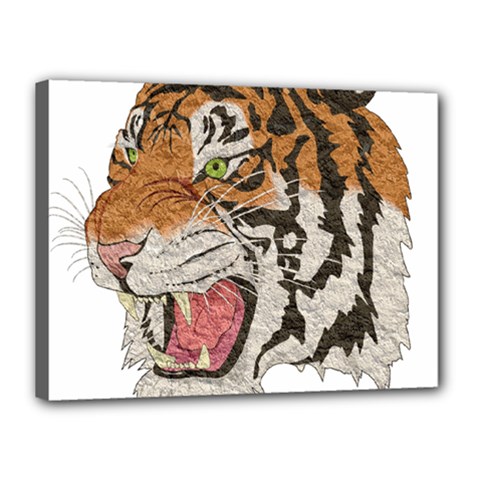 Tiger Tiger Png Lion Animal Canvas 16  X 12  by Simbadda