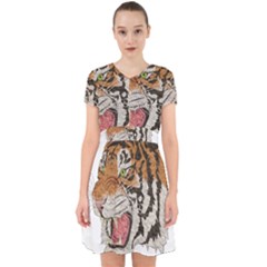 Tiger Tiger Png Lion Animal Adorable In Chiffon Dress by Simbadda