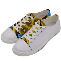 Staph Aureus And Wbc Women s Low Top Canvas Sneakers