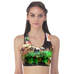 Old Tree And House With An Arch 7 Sports Bra by bestdesignintheworld