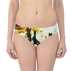 Ireland 2 Hipster Bikini Bottoms by bestdesignintheworld