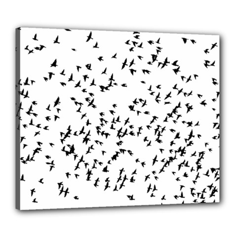 Flock Birds Animals Flying Canvas 24  x 20 