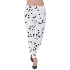 Flock Birds Animals Flying Velvet Leggings