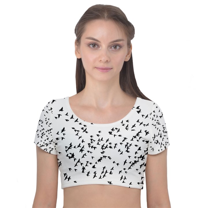 Flock Birds Animals Flying Velvet Short Sleeve Crop Top 