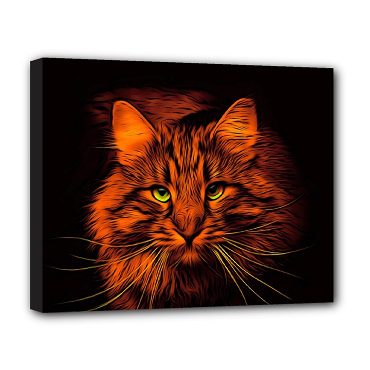 Cat Digiart Artistically Cute Deluxe Canvas 20  x 16  