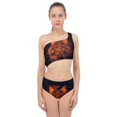 Cat Digiart Artistically Cute Spliced Up Two Piece Swimsuit by Simbadda