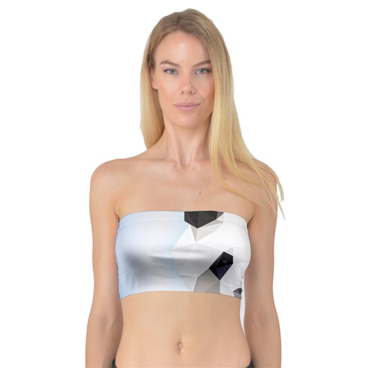 Background Show Graphic Art Panda Bandeau Top