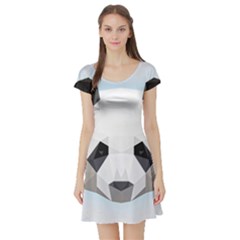 Background Show Graphic Art Panda Short Sleeve Skater Dress by Simbadda