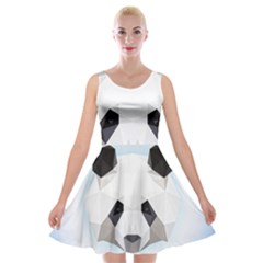 Background Show Graphic Art Panda Velvet Skater Dress by Simbadda