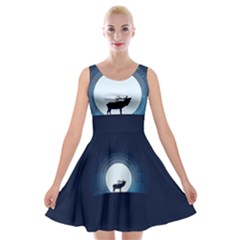 Moon Hirsch Wild Nature Antler Velvet Skater Dress