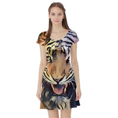 Tiger Animal Teeth Nature Design Short Sleeve Skater Dress by Simbadda