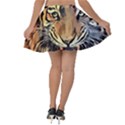 Tiger Animal Teeth Nature Design Velvet Skater Skirt View2