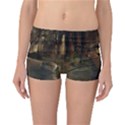 Mammal Nature Wood Tree Waters Reversible Boyleg Bikini Bottoms View1