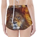 Fractalius Big Cat Animal High-Waisted Bikini Bottoms View2