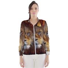 Fractalius Big Cat Animal Windbreaker (women)