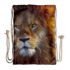 Fractalius Big Cat Animal Drawstring Bag (large) by Simbadda