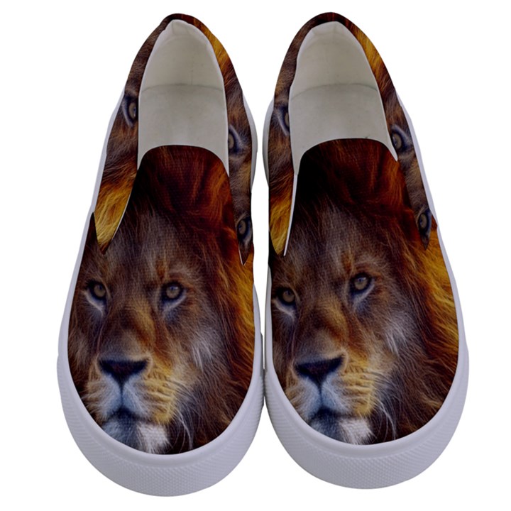 Fractalius Big Cat Animal Kids  Canvas Slip Ons