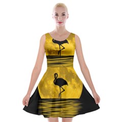 Moon Reflection Flamenco Animal Velvet Skater Dress